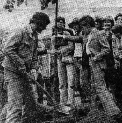 Linde setzen zur 800-Jahr Feier Luzern 1978, Ausschnitt